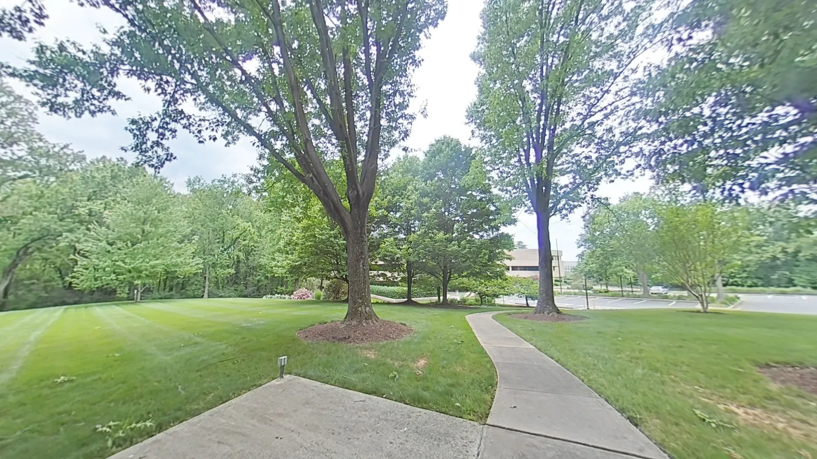 Campus grounds