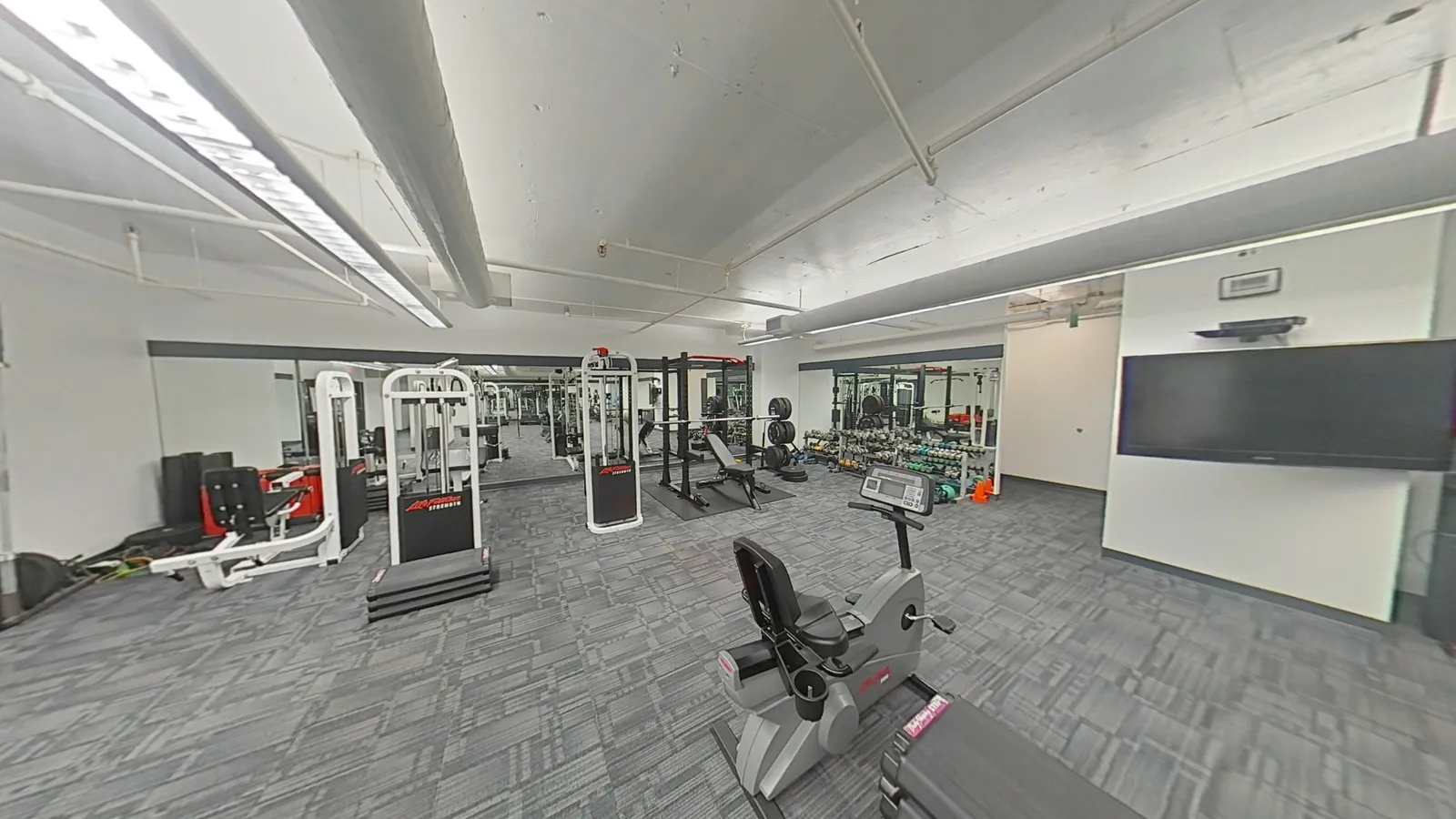Fitness - weights
